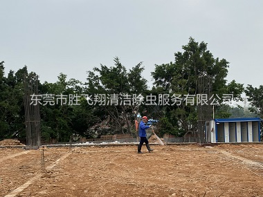 谢岗地基新建预防白蚁工程