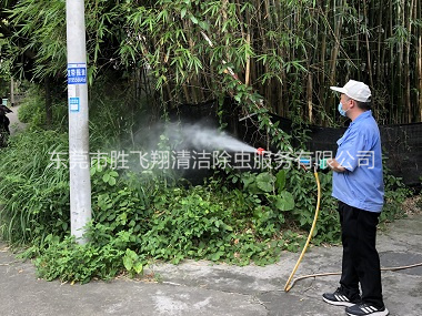 厚街有害生物消杀工程