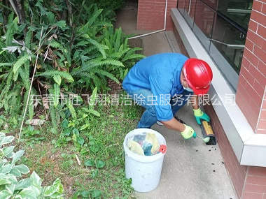 大岭山施药灭鼠工程