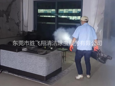 东莞室内灭蚊虫工程