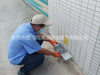 凤岗厂区布置鼠笼防控监测工程