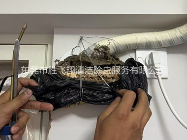 厚街房屋白蚁诱杀工程