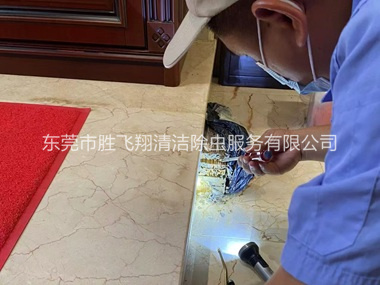 南城安装诱杀箱监测白蚁工程